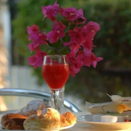 Orchidea Виттория