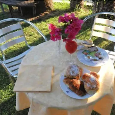 Orchidea Hotel Vittoria